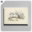 1-52_Charles-Hamilton-Smith_canvas