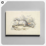 1-52_Charles-Hamilton-Smith_canvas