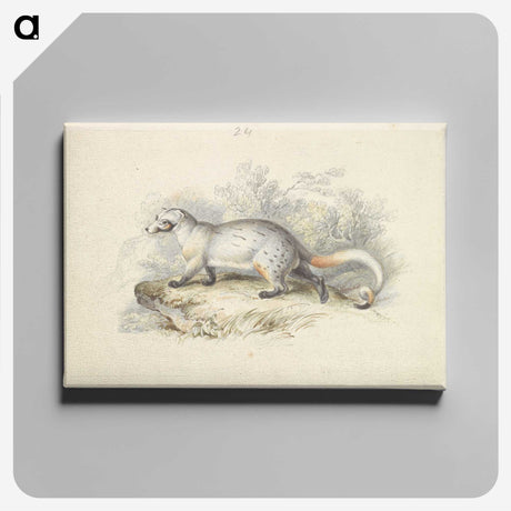 1-52_Charles-Hamilton-Smith_canvas