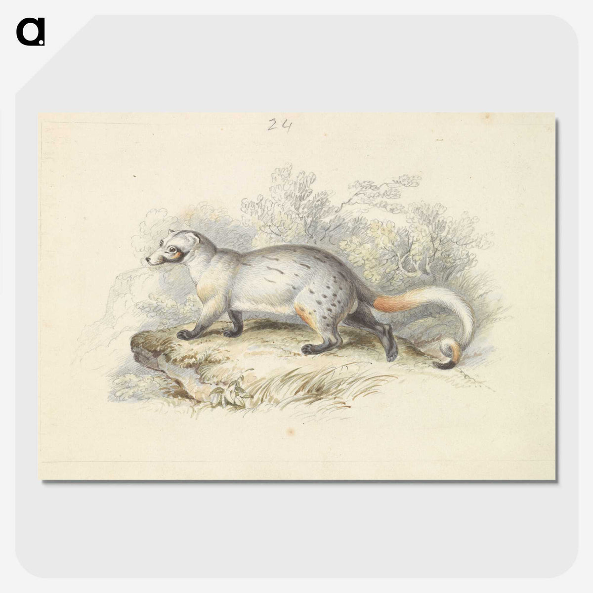 1-52_Charles-Hamilton-Smith_picture-crop
