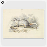 1-52_Charles-Hamilton-Smith_picture-crop