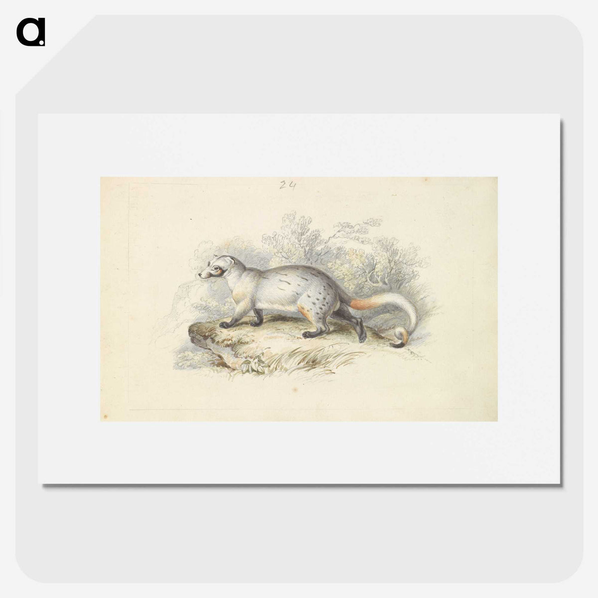 1-52_Charles-Hamilton-Smith_picture