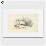 1-52_Charles-Hamilton-Smith_picture