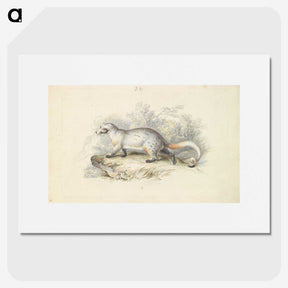 1-52_Charles-Hamilton-Smith_picture