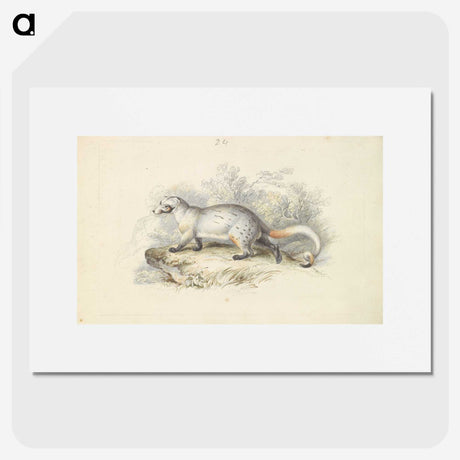 1-52_Charles-Hamilton-Smith_picture