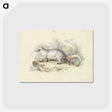 1-52_Charles-Hamilton-Smith_postcard