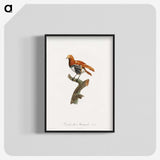 1-52_Des-Oiseaux-de-Paradis_blk-crop