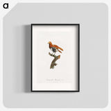 1-52_Des-Oiseaux-de-Paradis_blk