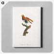 1-52_Des-Oiseaux-de-Paradis_canvas