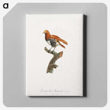1-52_Des-Oiseaux-de-Paradis_canvas
