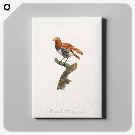 1-52_Des-Oiseaux-de-Paradis_canvas