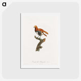 1-52_Des-Oiseaux-de-Paradis_hagaki