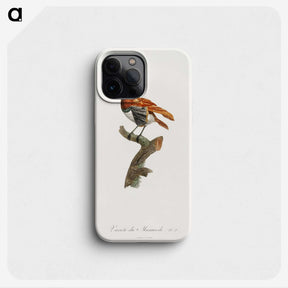 1-52_Des-Oiseaux-de-Paradis_phone