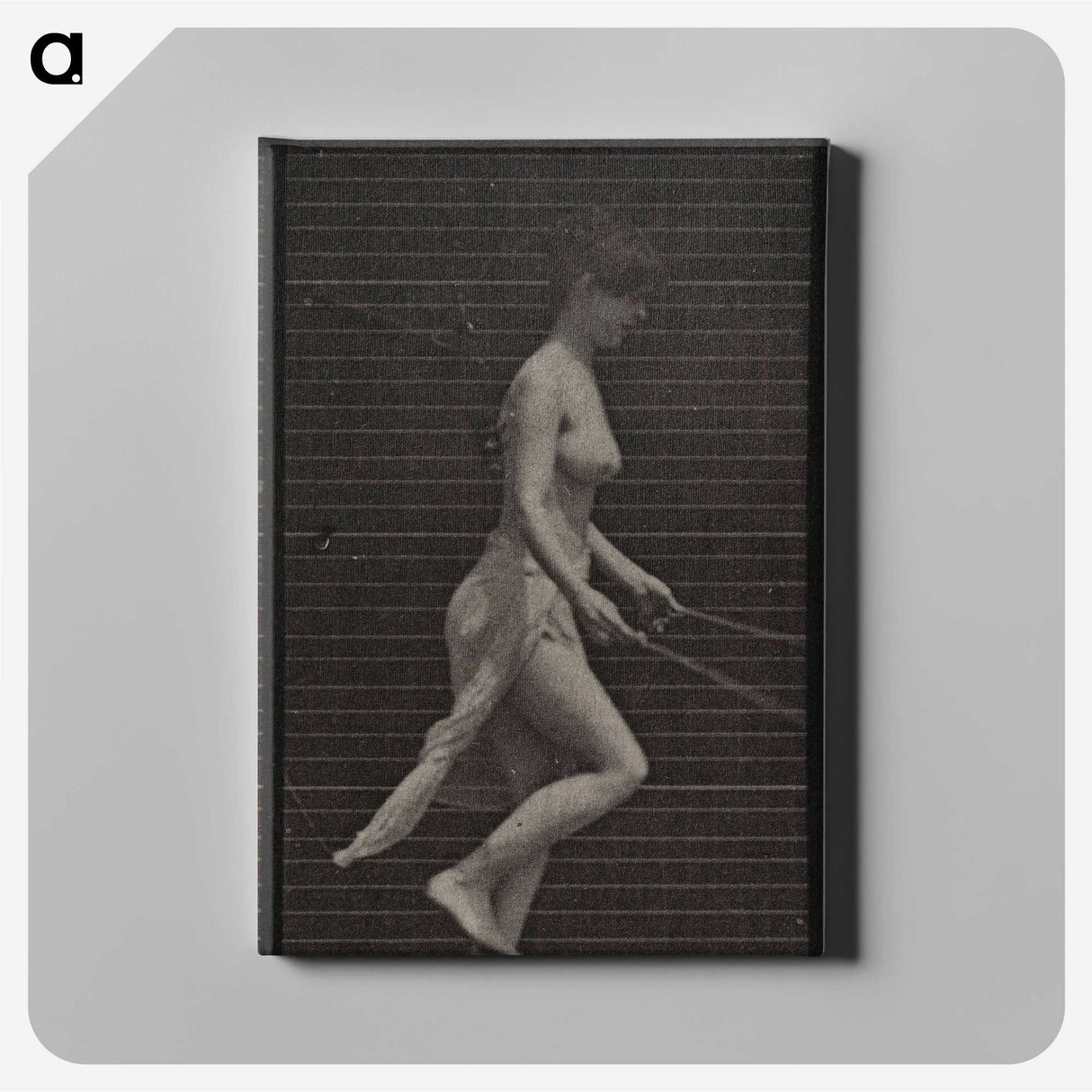 1-52_Eadweard-Muybridge_canvas