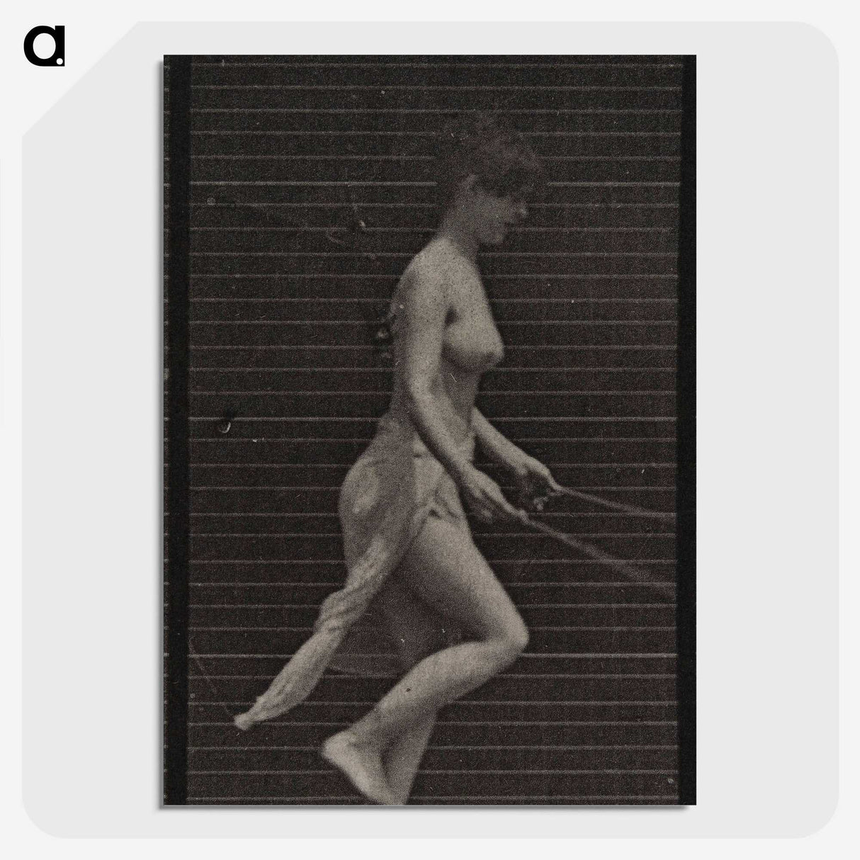 1-52_Eadweard-Muybridge_picture-crop