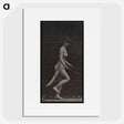 1-52_Eadweard-Muybridge_picture