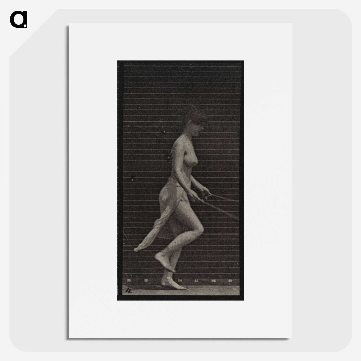 1-52_Eadweard-Muybridge_picture