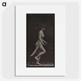 1-52_Eadweard-Muybridge_picture