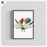 1-52_Ernst-Haeckel_blk-crop