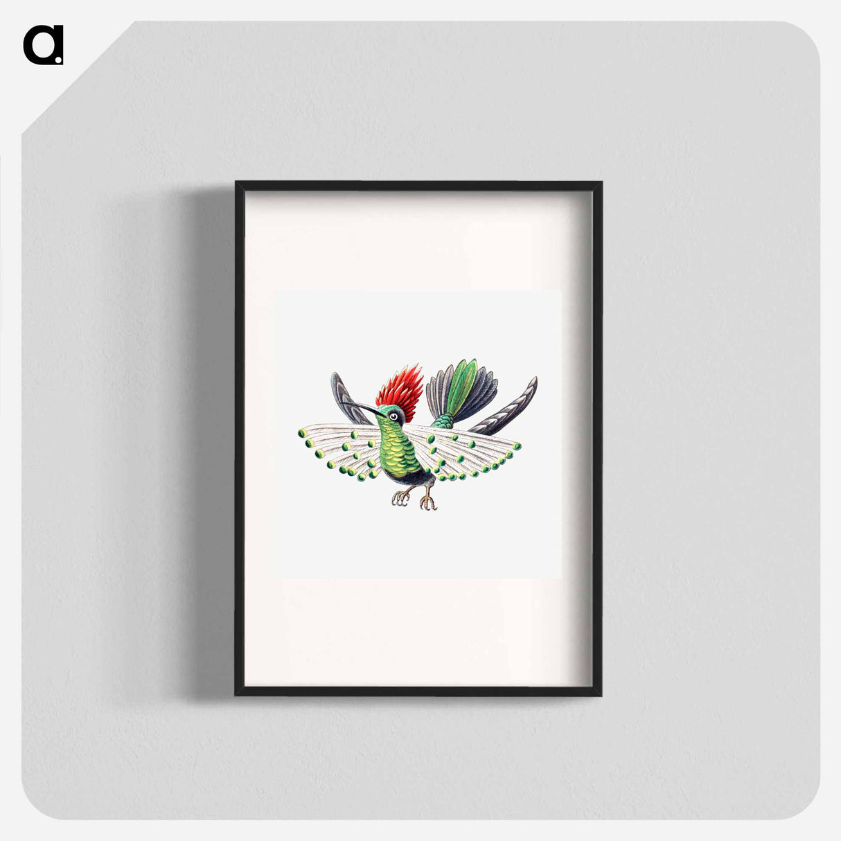 Colorful vintage hummingbird illustration - エルンスト ヘッケル Poster.
