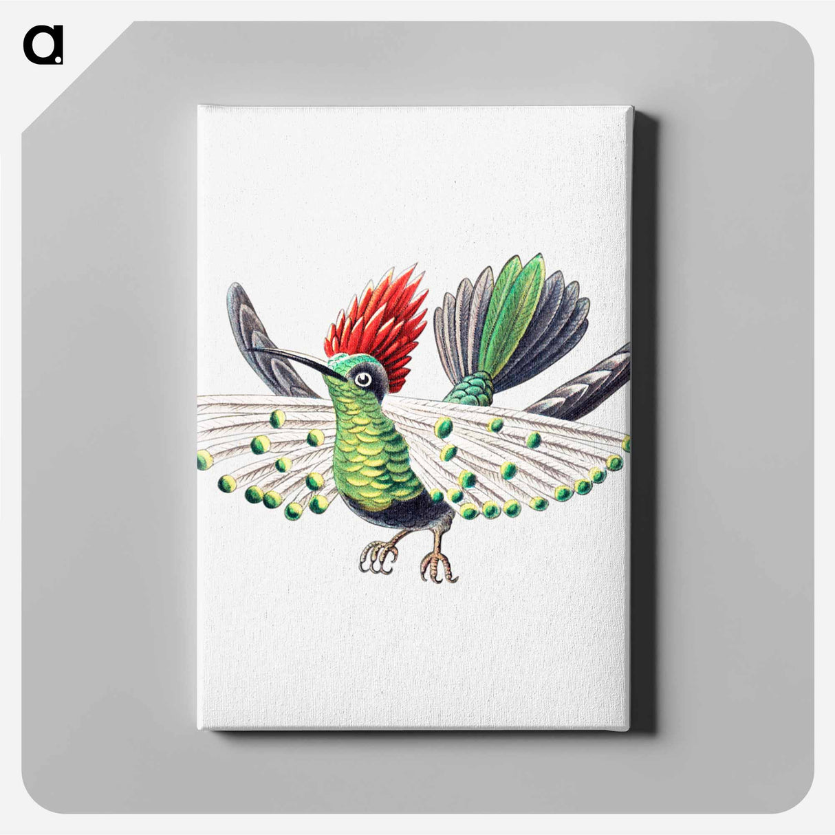 Colorful vintage hummingbird illustration - エルンスト ヘッケル Canvas.