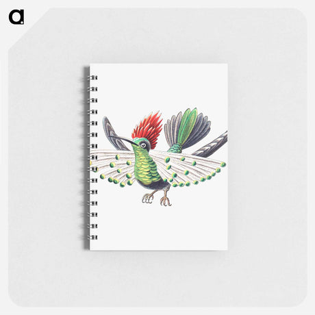 アートメモ帳-Colorful vintage hummingbird illustration - エルンスト ヘッケル Memo.