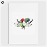 Colorful vintage hummingbird illustration - エルンスト ヘッケル Poster.