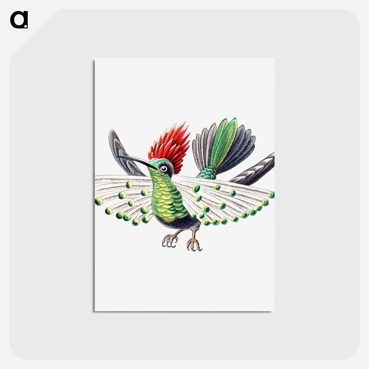 アートポストカード-Colorful vintage hummingbird illustration - エルンスト ヘッケル Postcard.