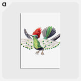 アートポストカード-Colorful vintage hummingbird illustration - エルンスト ヘッケル Postcard.
