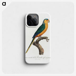 1-52_Francois-Levaillant_phone