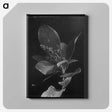 1-52_Frederick-Charles-Brockett_canvas