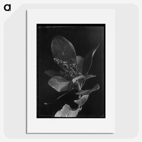 1-52_Frederick-Charles-Brockett_picture