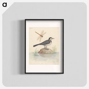 アートポスター-Pied Wagtail and Dragonfly
 - ジョージ エドワーズ Poster.