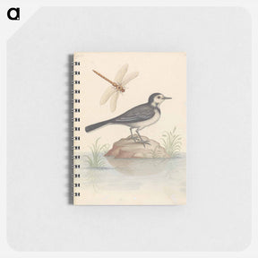 アートメモ帳-Pied Wagtail and Dragonfly
 - ジョージ エドワーズ Memo.