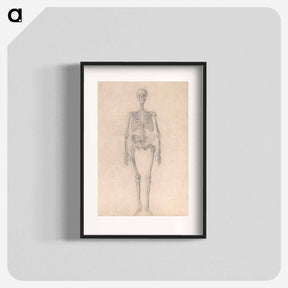 アートポスター-Human Skeleton, Anterior View
 - ジョージ スタッブス Poster.