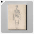 1-52_George-Stubbs_canvas
