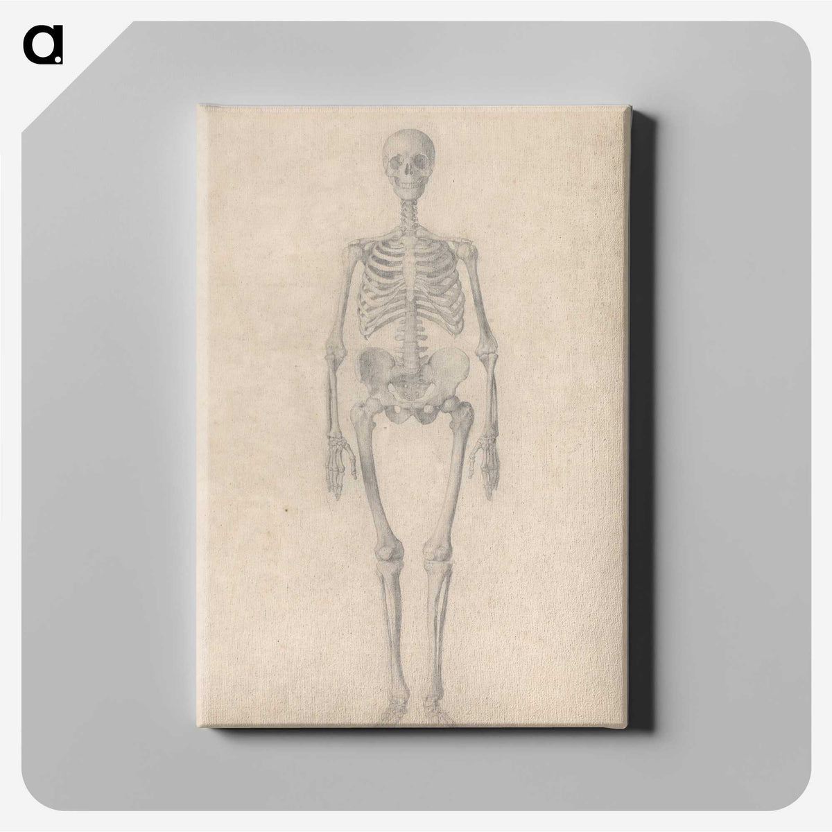 1-52_George-Stubbs_canvas