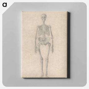 1-52_George-Stubbs_canvas