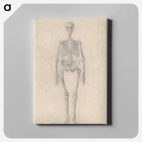 1-52_George-Stubbs_canvas