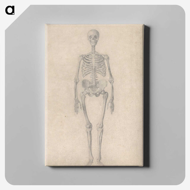 1-52_George-Stubbs_canvas