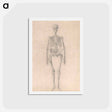 アートポストカード-Human Skeleton, Anterior View
 - ジョージ スタッブス Postcard.