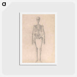 アートポストカード-Human Skeleton, Anterior View
 - ジョージ スタッブス Postcard.