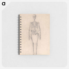 アートメモ帳-Human Skeleton, Anterior View
 - ジョージ スタッブス Memo.