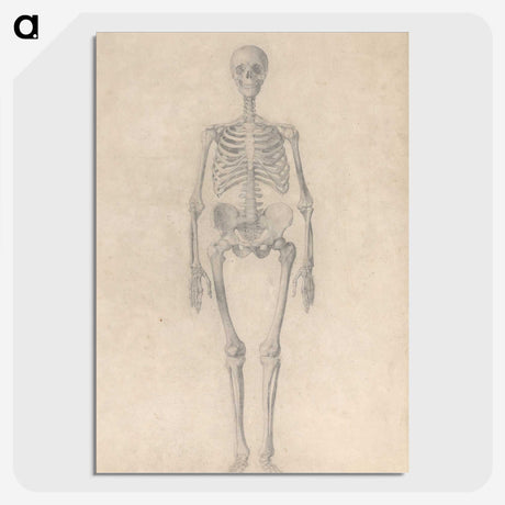 1-52_George-Stubbs_picture-crop