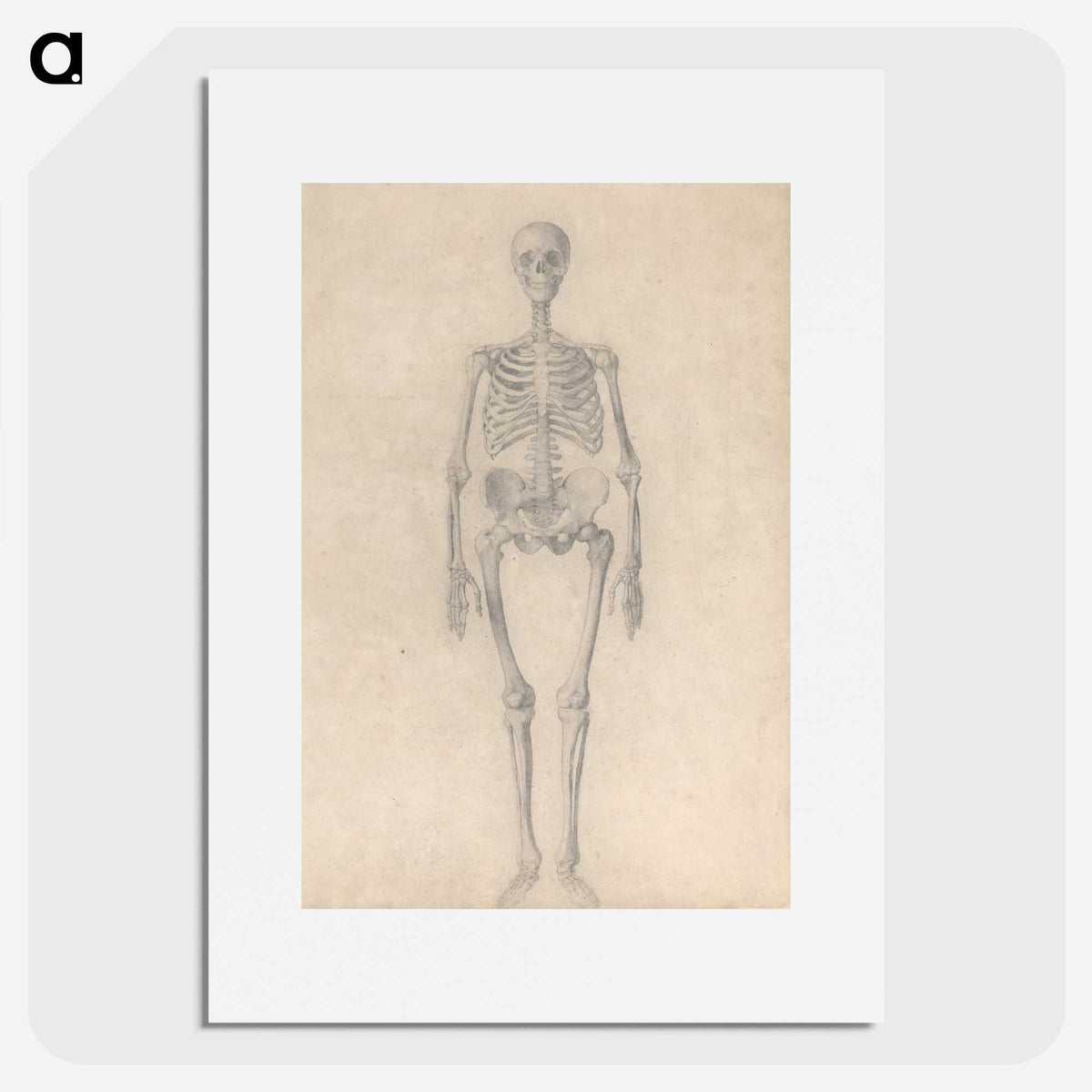 1-52_George-Stubbs_picture