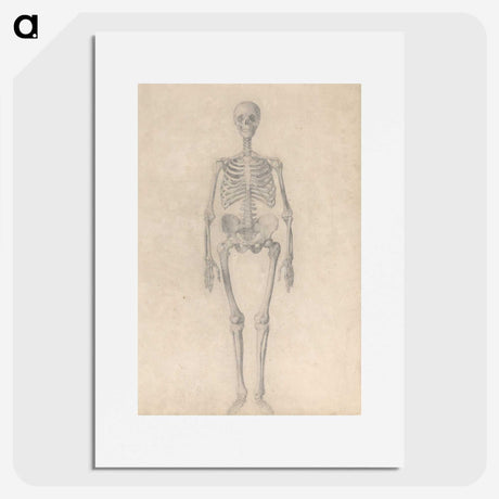 1-52_George-Stubbs_picture
