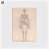 アートポストカード-Human Skeleton, Anterior View
 - ジョージ スタッブス Postcard.