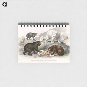アートメモ帳-Bears from Animated Nature
 - ゴールドスミスの生き生きとした自然 Memo.