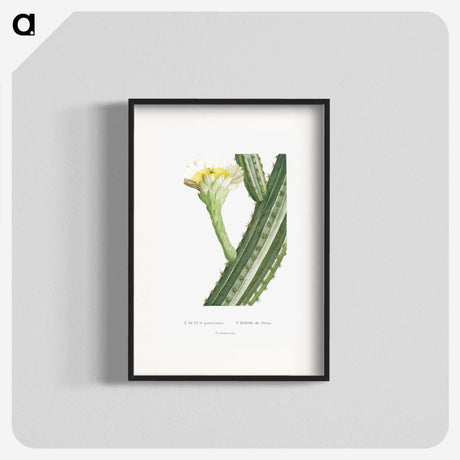 1-52_Histoire-des-Plantes-Grasses_blk
