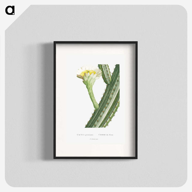 1-52_Histoire-des-Plantes-Grasses_blk